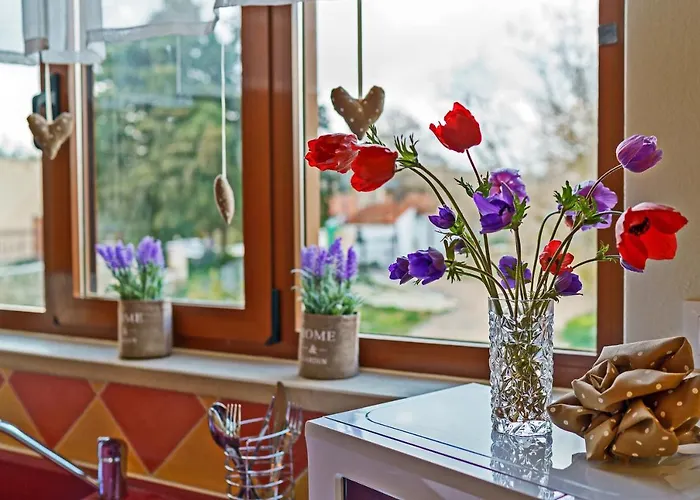 Aclando Вилла *